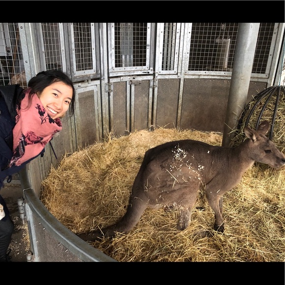 Meet your Posher, Sharon - Picture 1 of 1